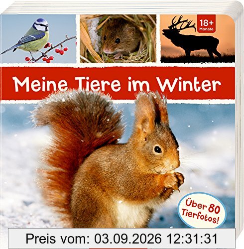 Meine Tiere im Winter