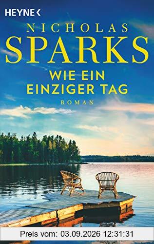 Wie ein einziger Tag: Roman