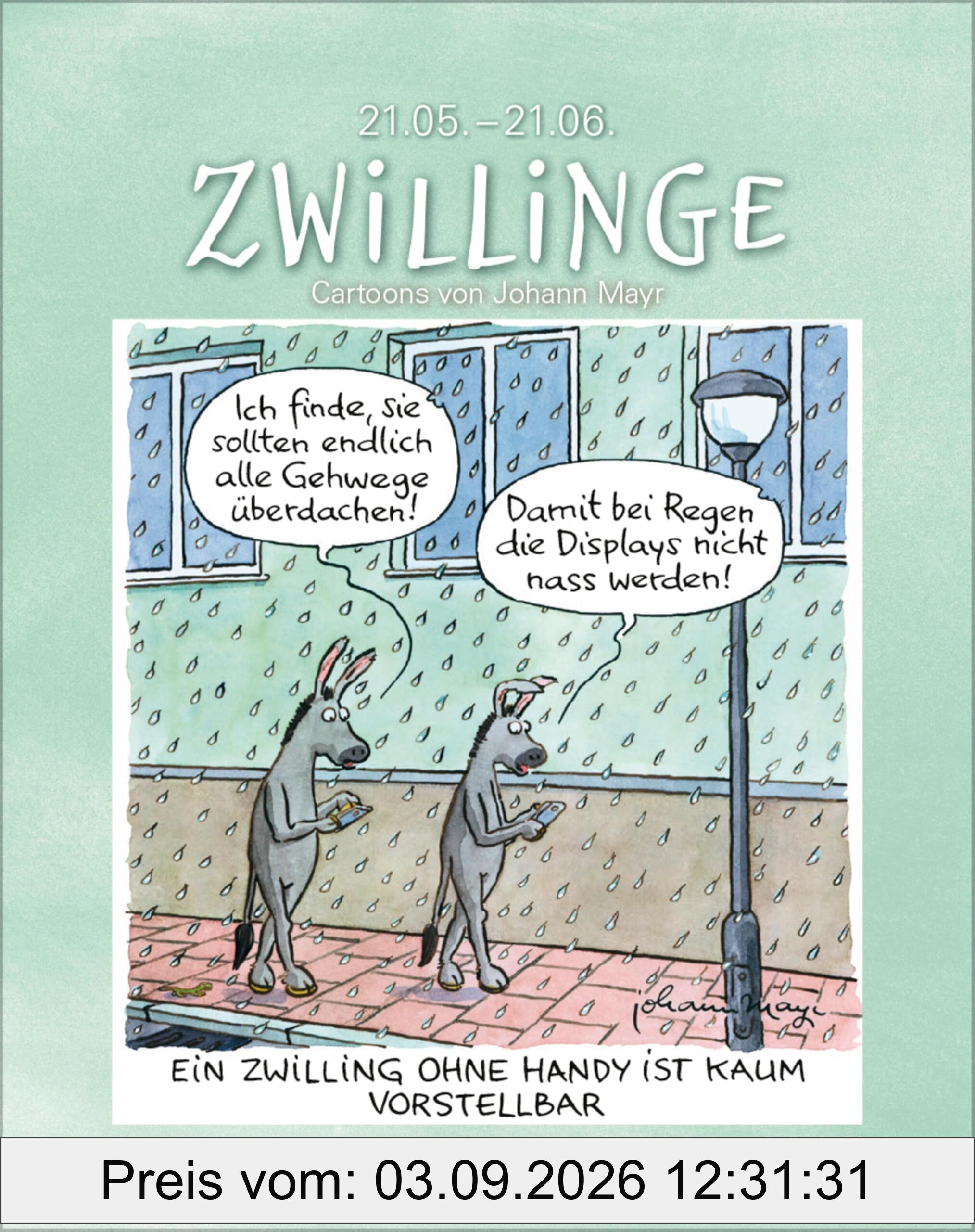Zwillinge 2026