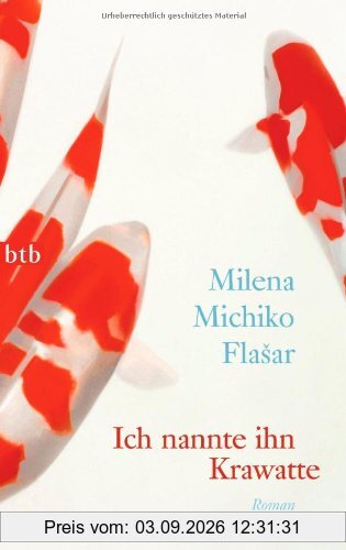 Ich nannte ihn Krawatte: Roman
