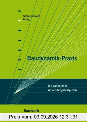 Baudynamik-Praxis: Mit zahlreichen Anwendungsbeispielen
