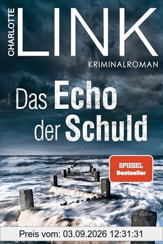 Das Echo der Schuld: Kriminalroman