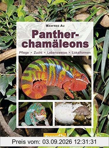 Pantherchamäleons: Pflege, Zucht, Lebensweise, Lokalformen