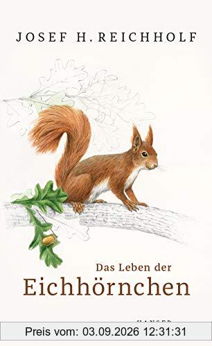 Das Leben der Eichhörnchen