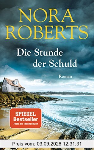 Die Stunde der Schuld: Roman