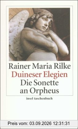 Duineser Elegien. Die Sonette an Orpheus (insel taschenbuch)
