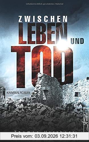 Zwischen Leben und Tod: Hamburg in Trümmern 2 (Kriminalroman)