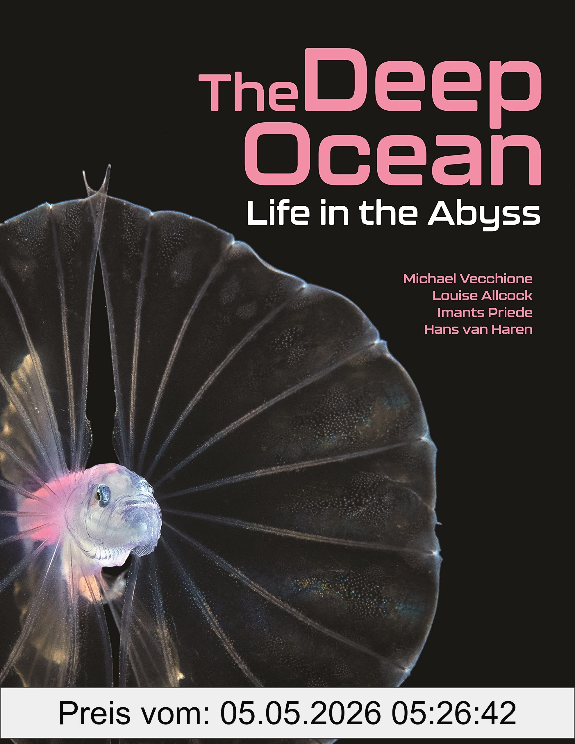 Louise Allcock The Deep Ocean, Life In The Abyss