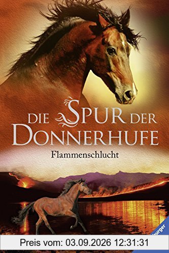 Die Spur der Donnerhufe 1: Flammenschlucht