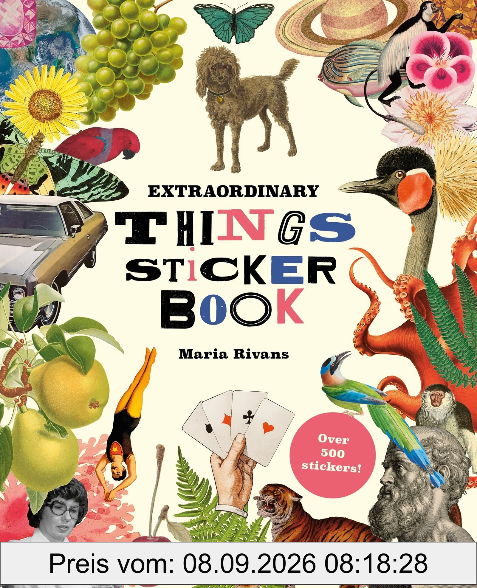 Extraordinary Things Sticker Book