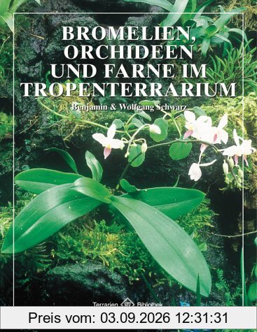Bromelien, Orchideen und Farne im Tropenterrarium