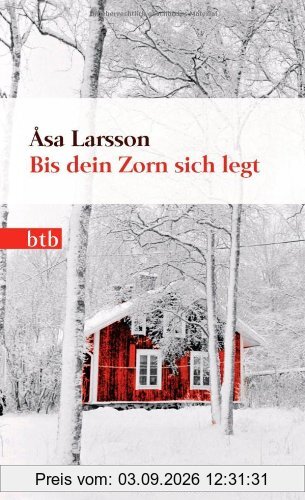 Bis dein Zorn sich legt: Roman (Das Besondere Taschenbuch)