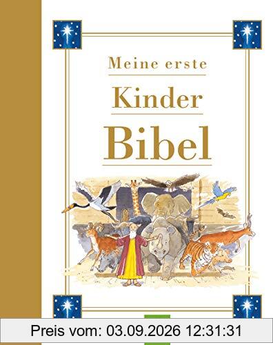 Meine erste Kinderbibel