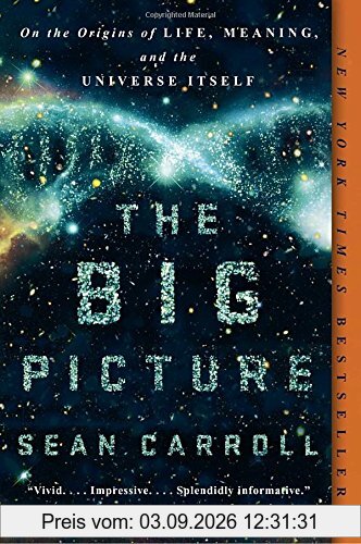 The Big Picture: On the Origins of Life, Meaning, and the Universe Itself