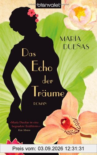 Das Echo der Träume: Roman