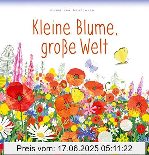 Brand : Betz, Annette, Binding : Gebundene Ausgabe, Edition : 1, Label : Annette Betz im Ueberreuter Verlag, Publisher : Annette Betz im Ueberreuter Verlag, Format : Bilderbuch, medium : Gebundene Ausgabe, numberOfPages : 32, publicationDate : 2021-03-15, authors : Genechten, Guido Van, translators : Meike Blatnik, ISBN : 3219119123