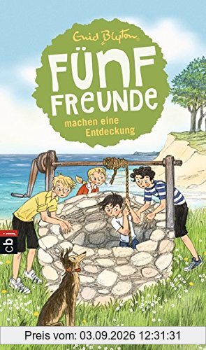 Fünf Freunde machen eine Entdeckung (Einzelbände, Band 21)