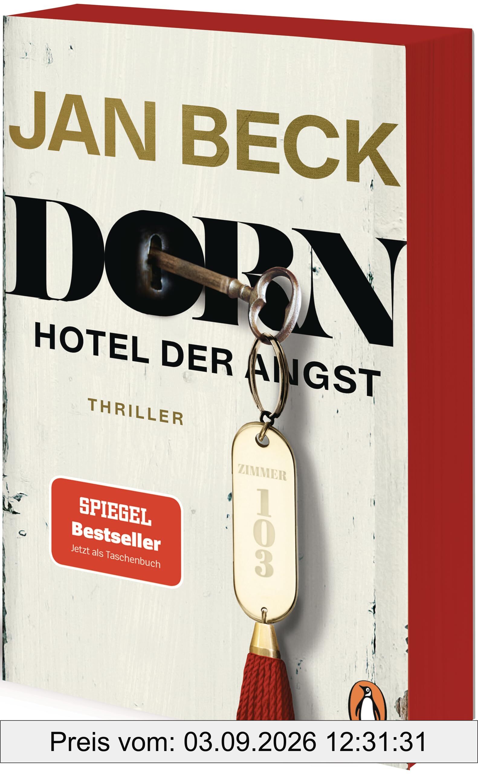 Dorn: Zimmer 103. Hotel der Angst. Thriller – Der Auftakt der neuen Thrillerreihe des Bestsellerautors. Jetzt im Taschenbuch (Dorn - Simon Dorn und Lea Wagner ermitteln, Band 1)