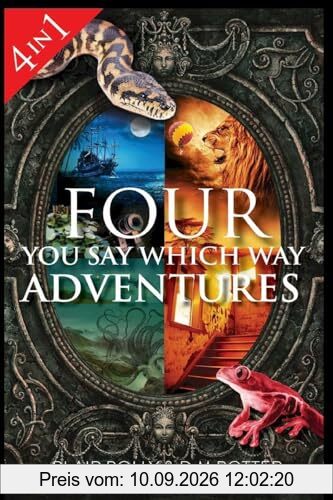 Four You Say Which Way Adventures: Pirate Island, In the Magician's House, Lost in Lion Country, Once Upon an Island (You Say Which Way Collections, Band 1)