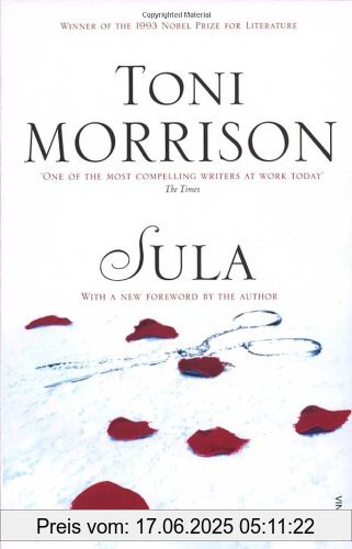 Binding : Taschenbuch, Edition : New Ed, Label : Vintage, Publisher : Vintage, NumberOfItems : 1, PackageQuantity : 1, medium : Taschenbuch, numberOfPages : 192, publicationDate : 1998-05-07, releaseDate : 1998-05-07, authors : Toni Morrison, languages : french, ISBN : 0099760010