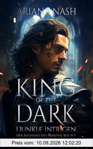 King of the Dark: Dunkle Intrigen: Schwul Fantasyromane (Der Assassine des Prinzen, Band 1)