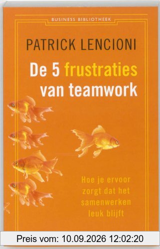De vijf frustraties van teamwork: hoe je ervoor zorgt dat samenwerken leuk blijft