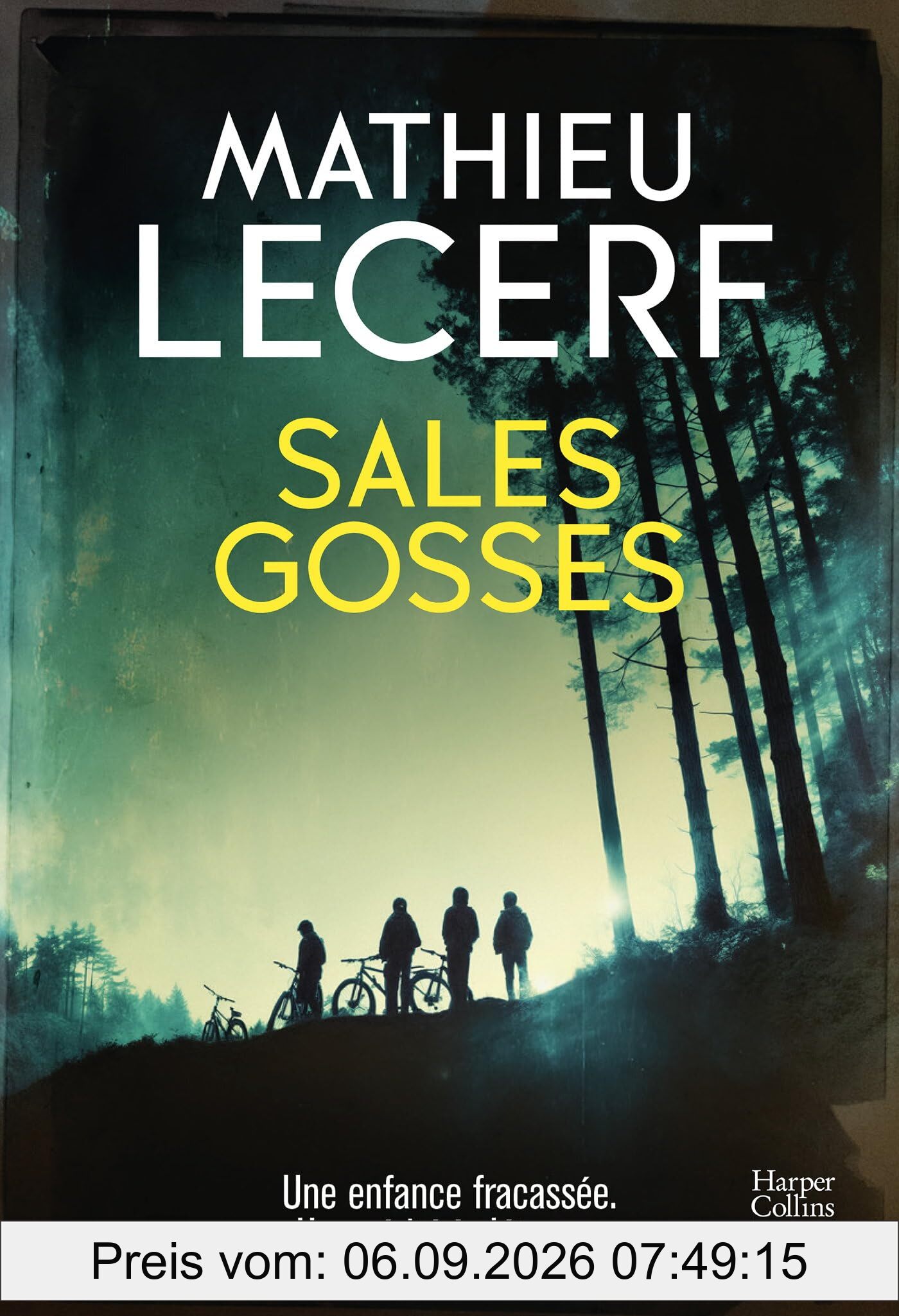 Sales gosses : thriller