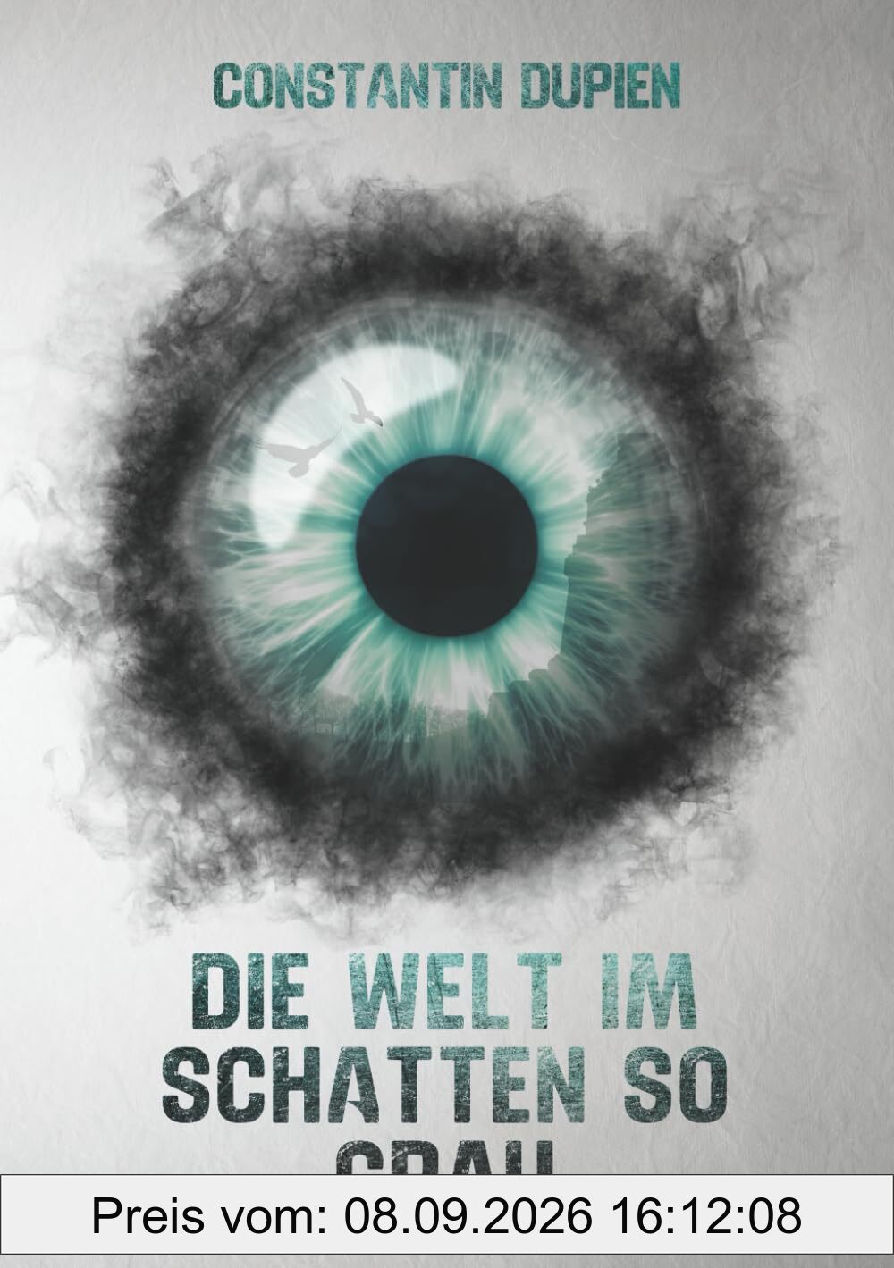 Die Welt im Schatten so grau: Eine düstere Endzeit-Vision im dystopischen Setting