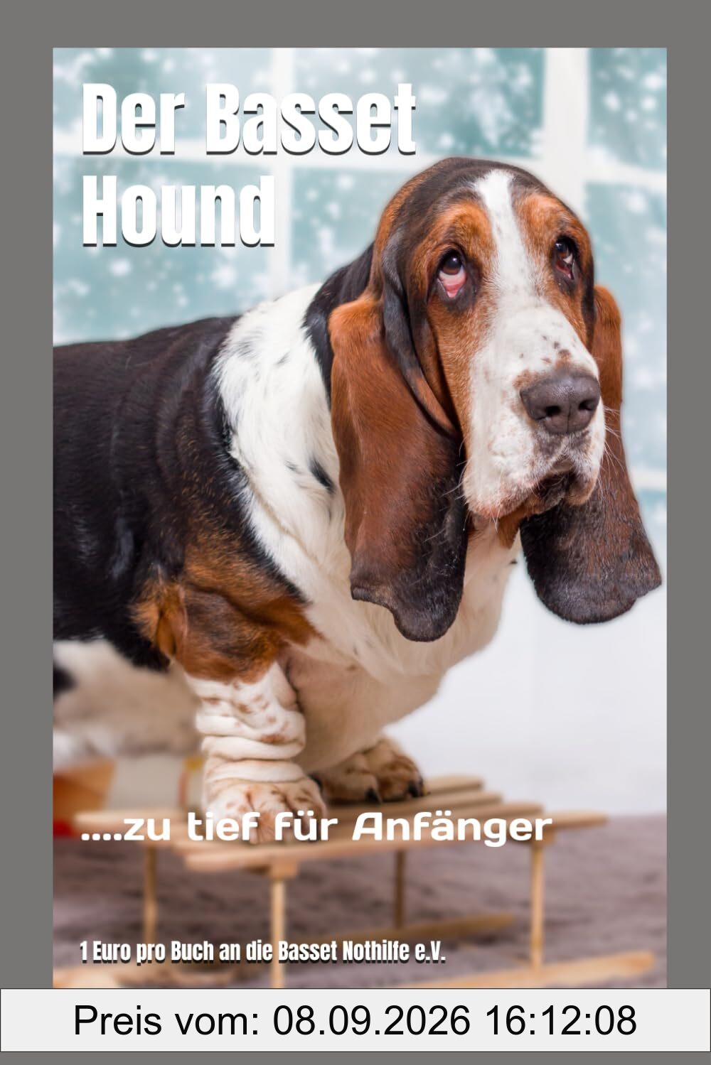 Der Basset Hound: ....zu tief für Anfänger