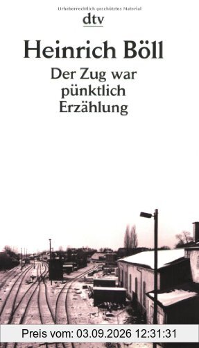 Der Zug war pünktlich: Erzählung