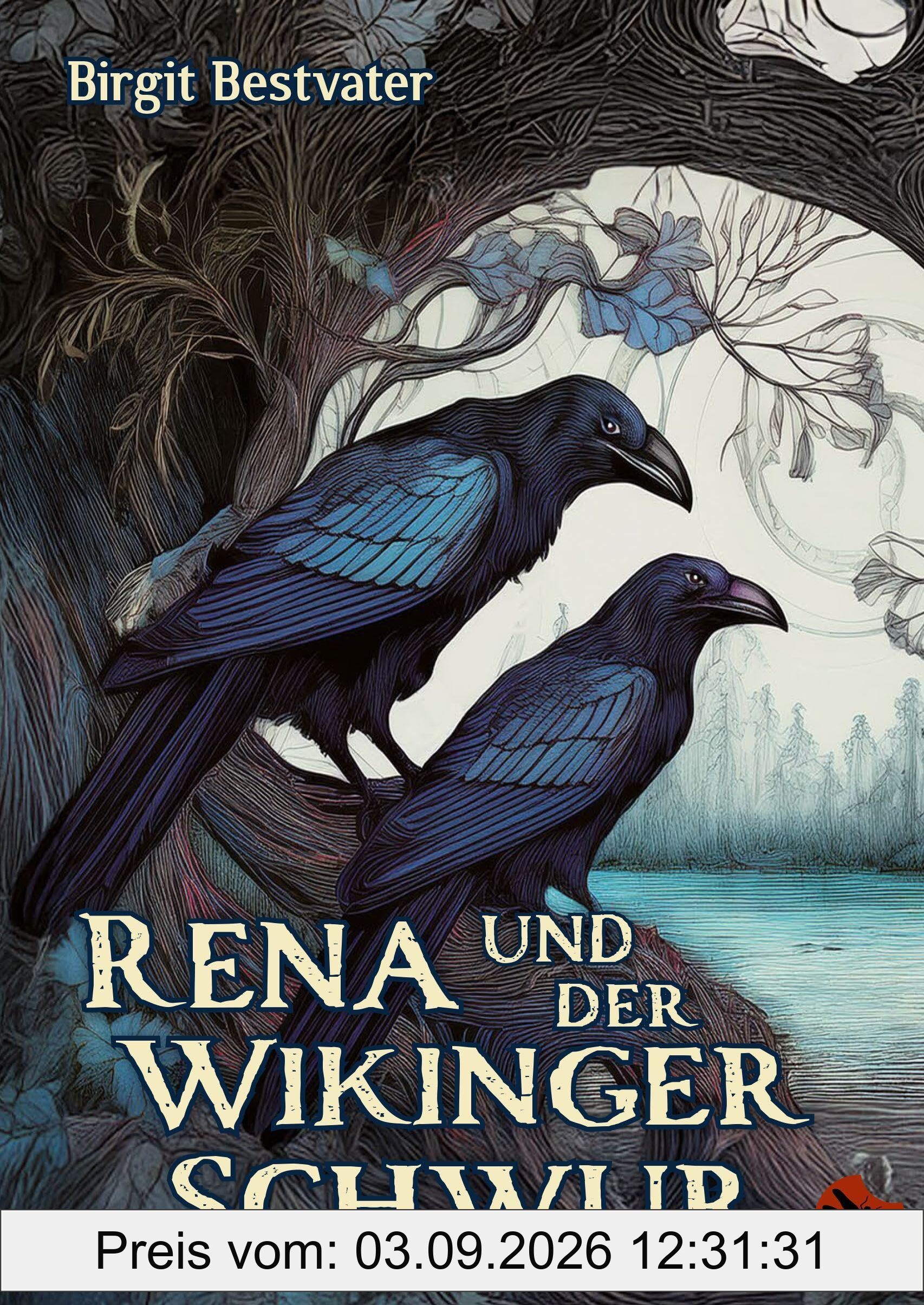 Rena und der Wikinger Schwur: All-Age-Fantasy-Roman (Edition Drachenfliege)