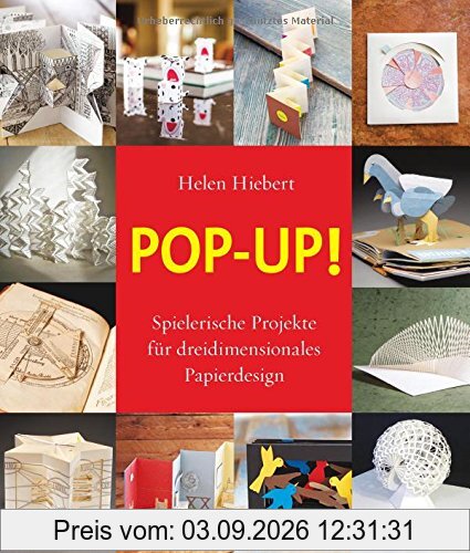 Pop-up!: Spielerische Projekte für dreidimensionales Papierdesign