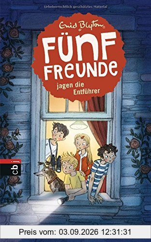 Fünf Freunde jagen die Entführer (Einzelbände, Band 13)
