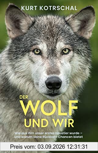 Der Wolf und wir: Wie aus ihm unser erstes Haustier wurde – und warum seine Rückkehr Chancen bietet