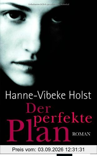 Der perfekte Plan: Roman