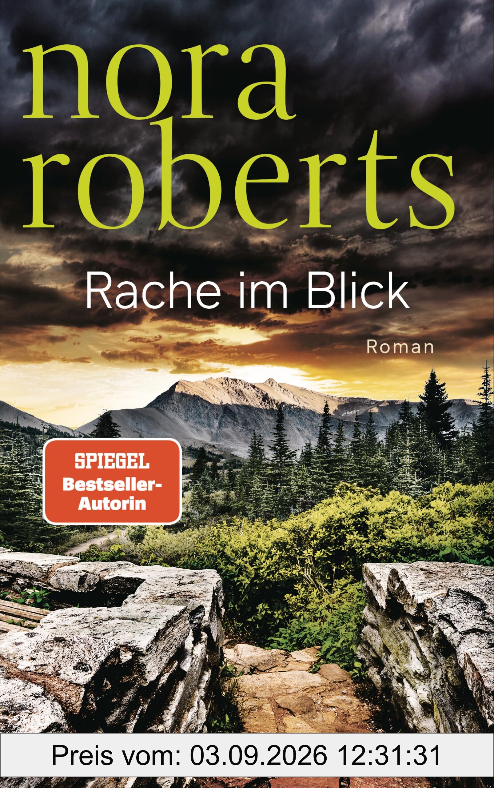 Rache im Blick: Roman