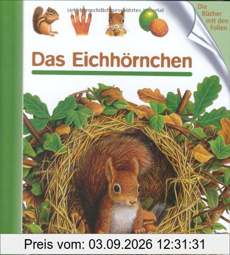 Das Eichhörnchen