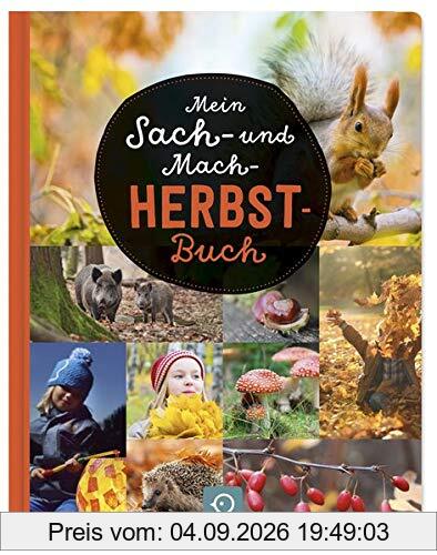 Mein Sach- und Mach-Herbst-Buch