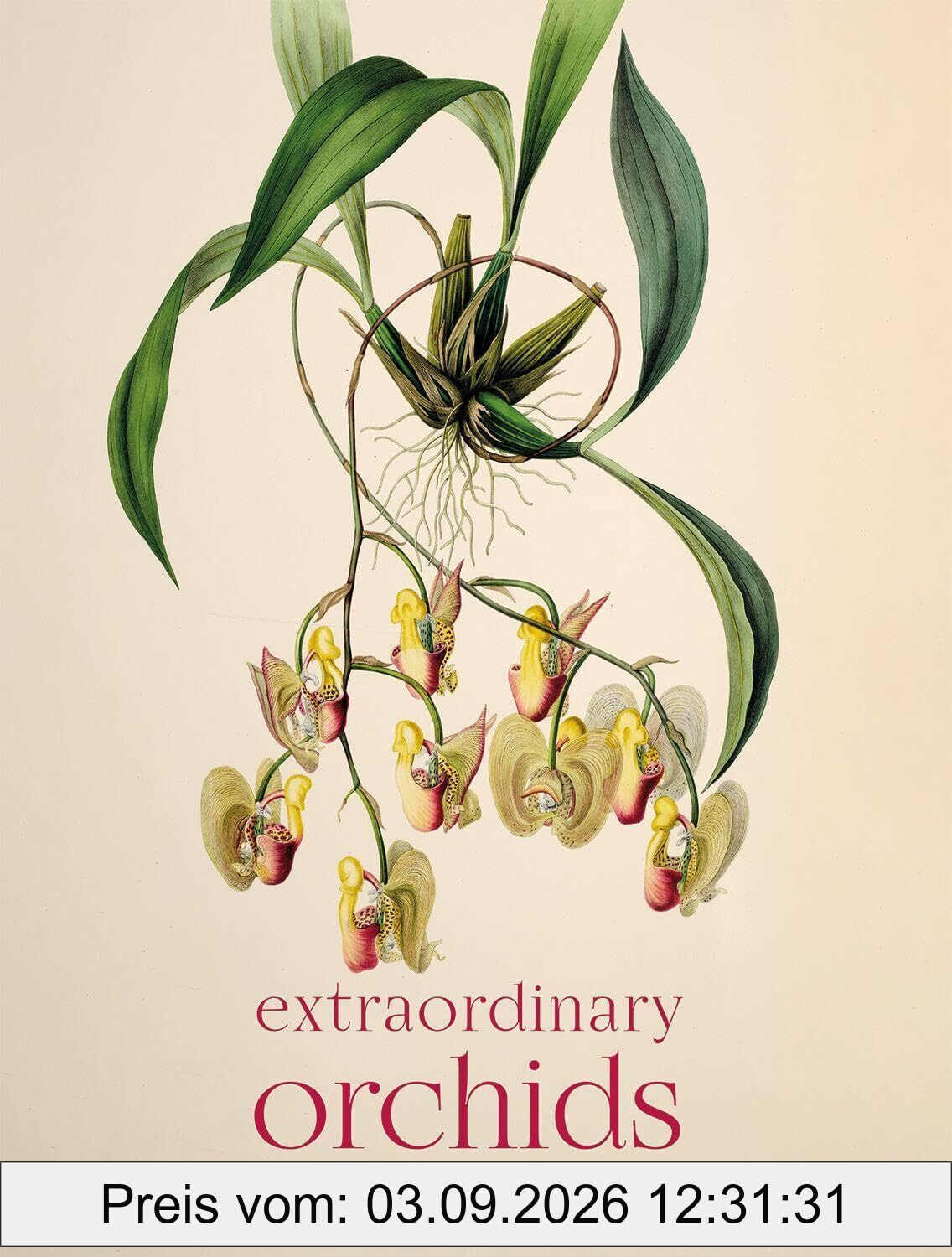 Extraordinary Orchids