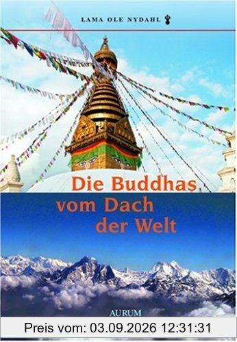 Die Buddhas vom Dach der Welt