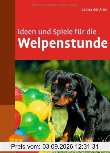 Ideen und Spiele für die Welpenstunde