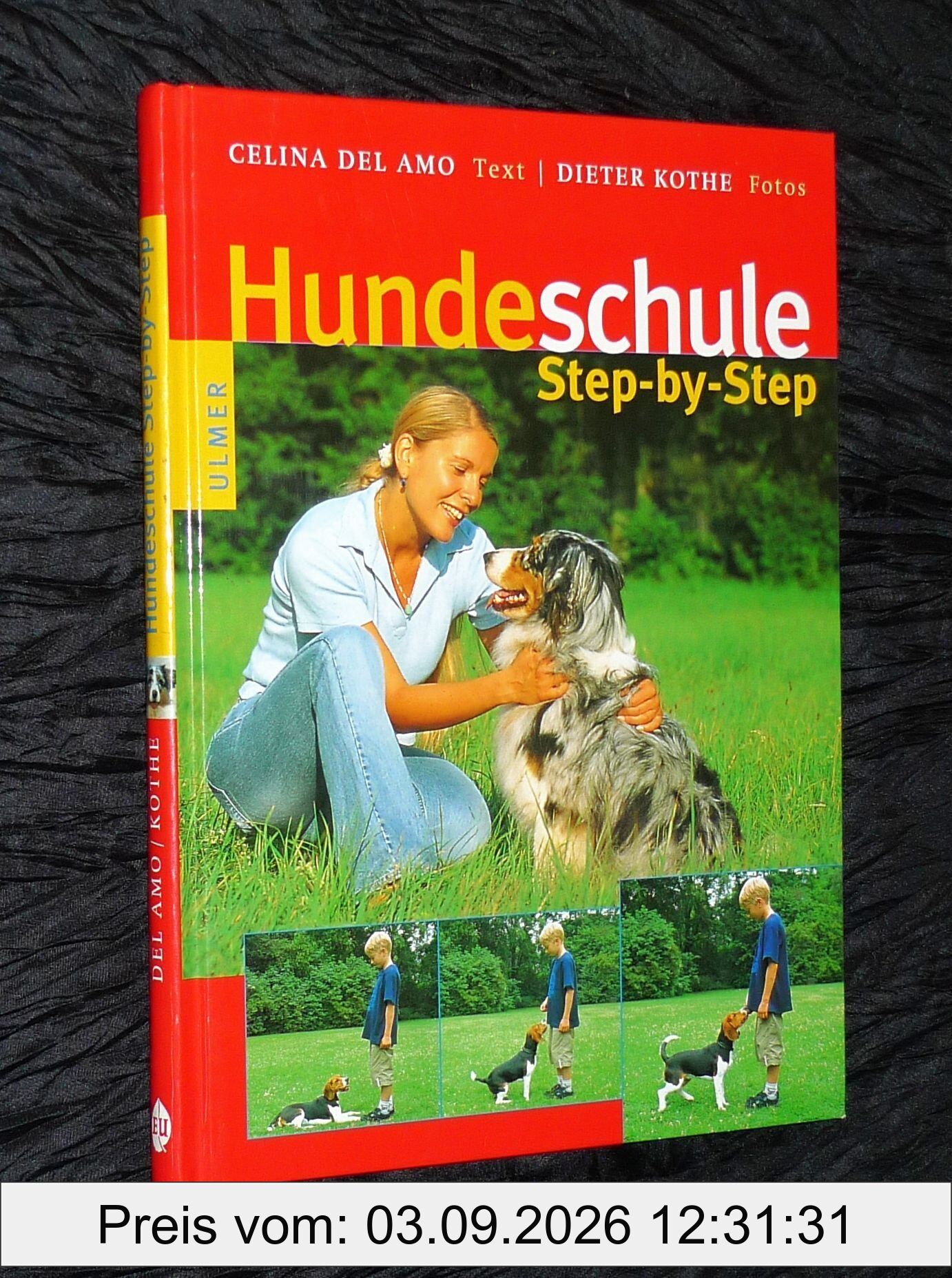 Hundeschule: Step-by-Step