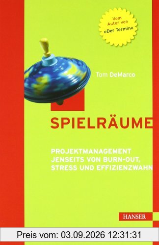 Spielräume. Projektmanagement jenseits von Burn-out, Stress und Effizienzwahn.