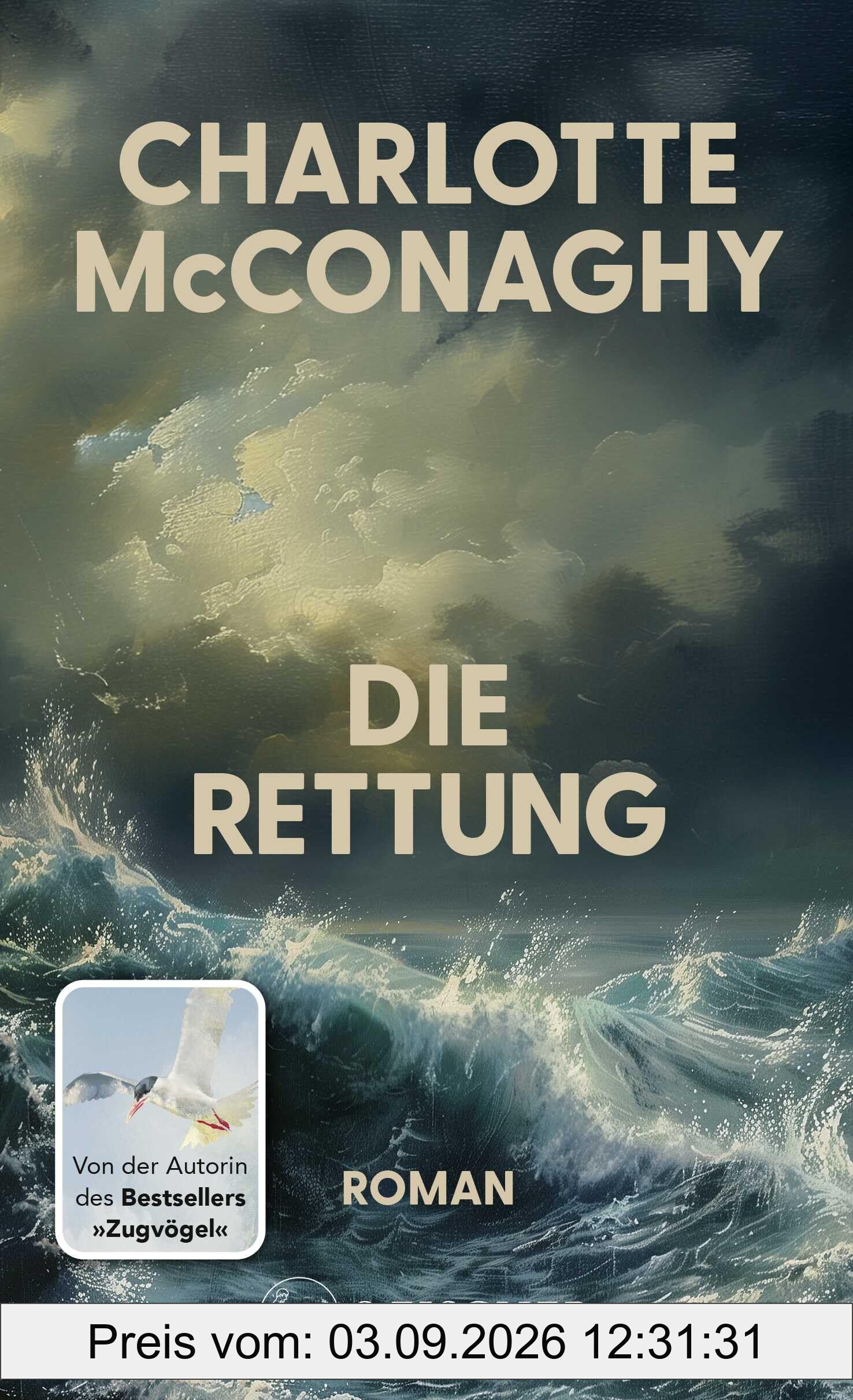 Die Rettung: Roman