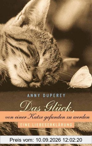 Das Glück, von einer Katze gefunden zu werden. Eine Liebeserklärung