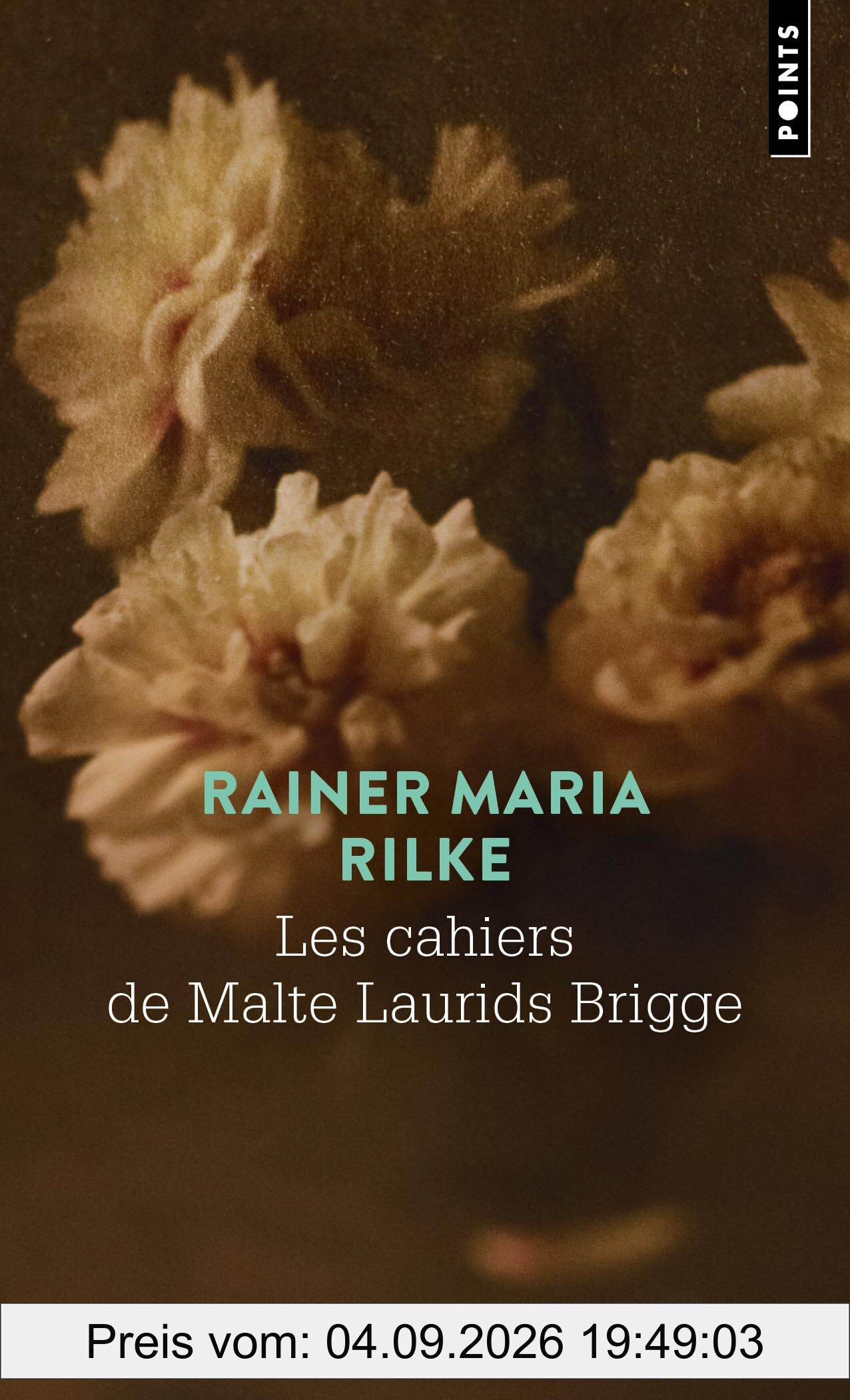 Les cahiers de Malte Laurids Brigge