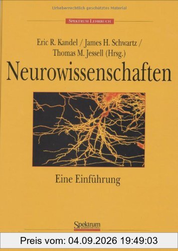 Neurowissenschaften: Eine Einführung