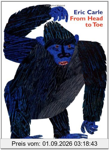 From Head to Toe Board Book