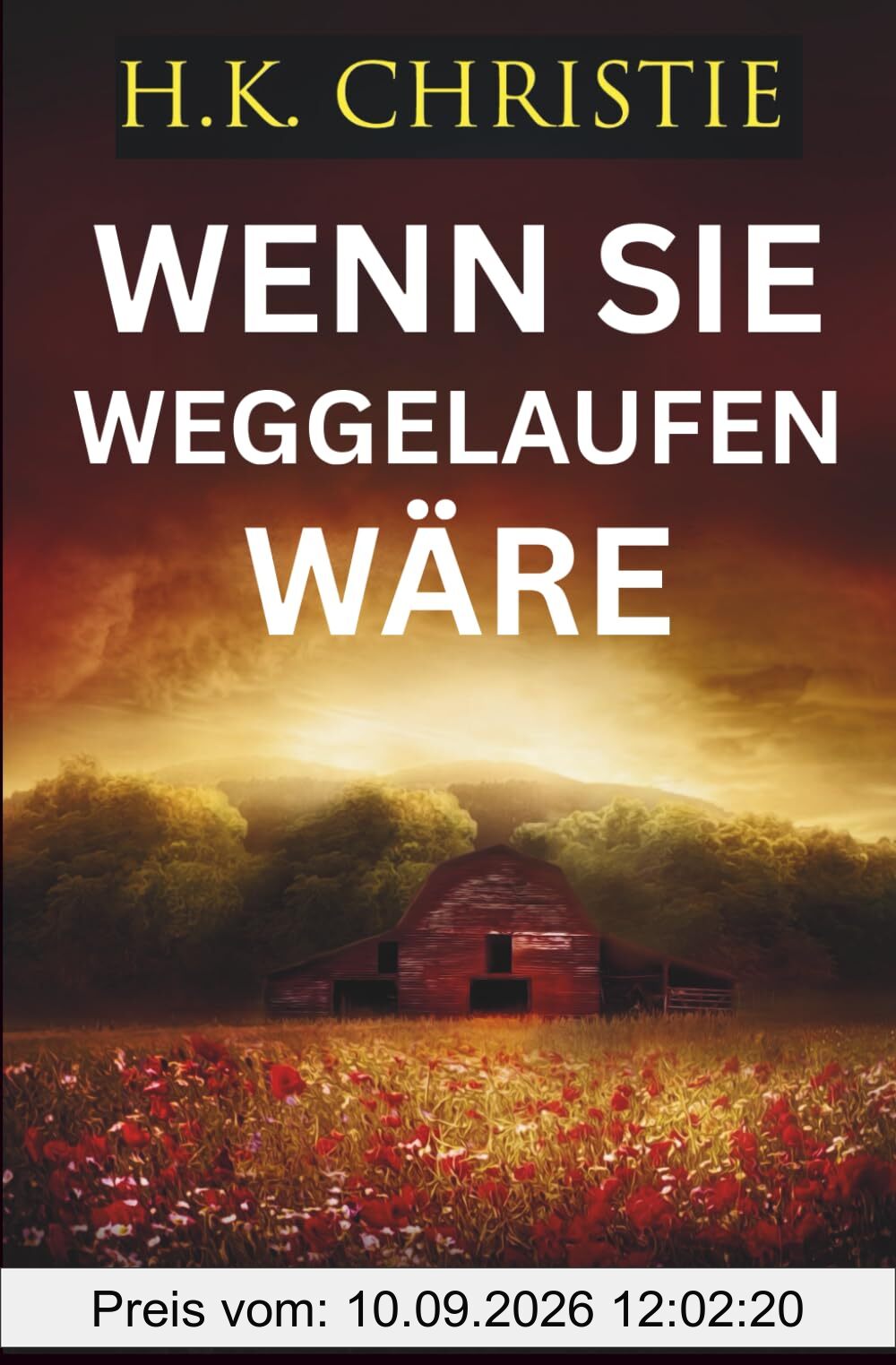 Wenn sie weggelaufen wäre (Martina-Monroe-Thrillerserie, Band 2)