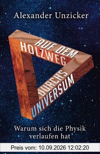 Auf dem Holzweg durchs Universum: Warum sich die Physik verlaufen hat